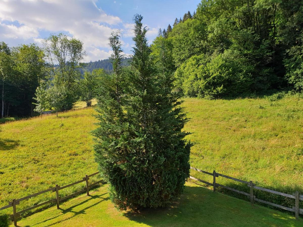 LE BOIS JOLI Chalet 4 étoiles CLEDICIHOME Cadre paisible en lisière de forêt Gérardmer Extérieur photo