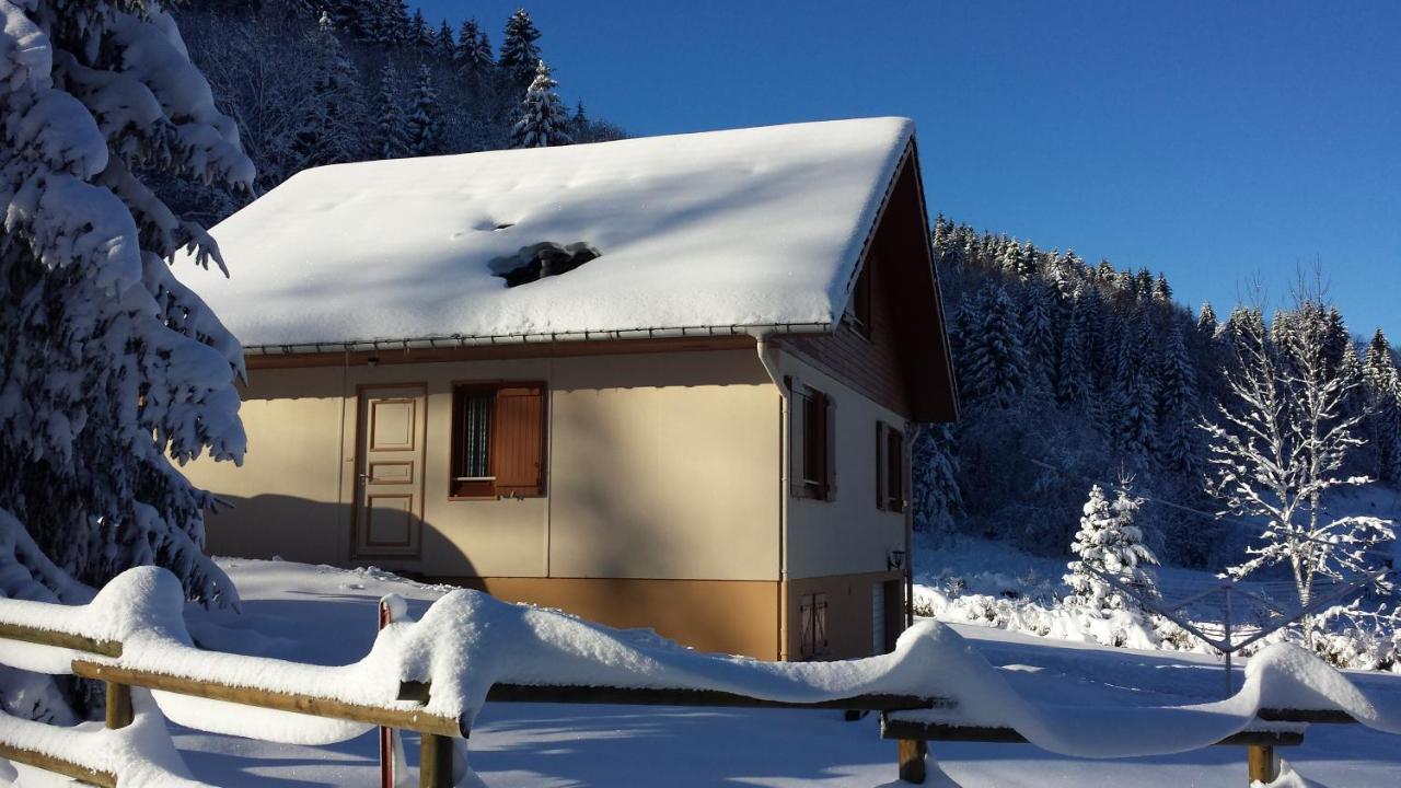 LE BOIS JOLI Chalet 4 étoiles CLEDICIHOME Cadre paisible en lisière de forêt Gérardmer Extérieur photo