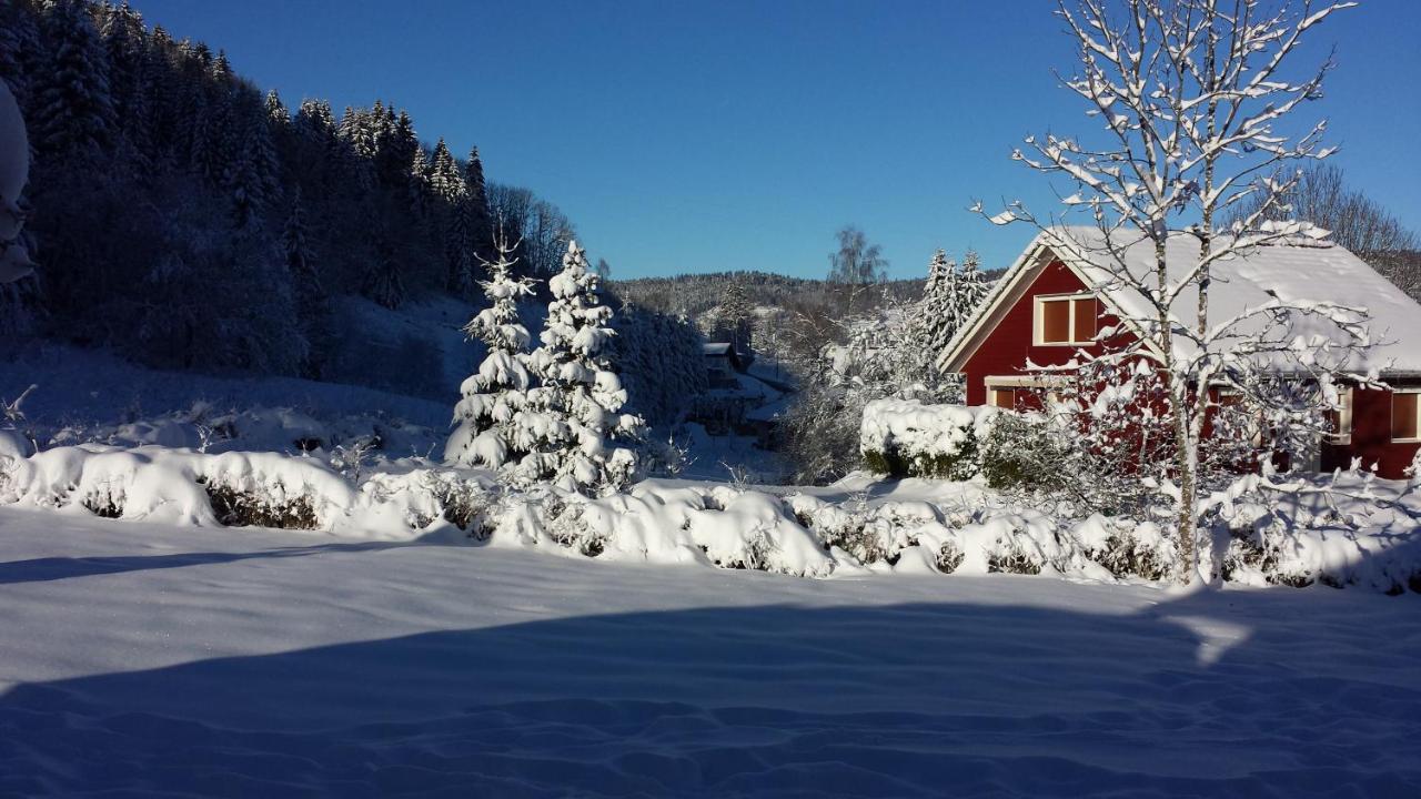 LE BOIS JOLI Chalet 4 étoiles CLEDICIHOME Cadre paisible en lisière de forêt Gérardmer Extérieur photo