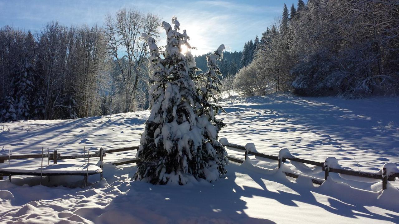 LE BOIS JOLI Chalet 4 étoiles CLEDICIHOME Cadre paisible en lisière de forêt Gérardmer Extérieur photo