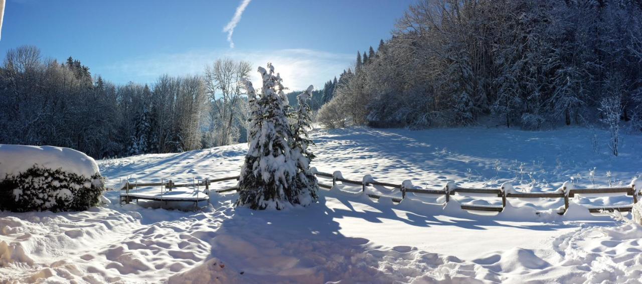 LE BOIS JOLI Chalet 4 étoiles CLEDICIHOME Cadre paisible en lisière de forêt Gérardmer Extérieur photo